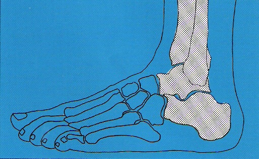 São José Ortopédicos